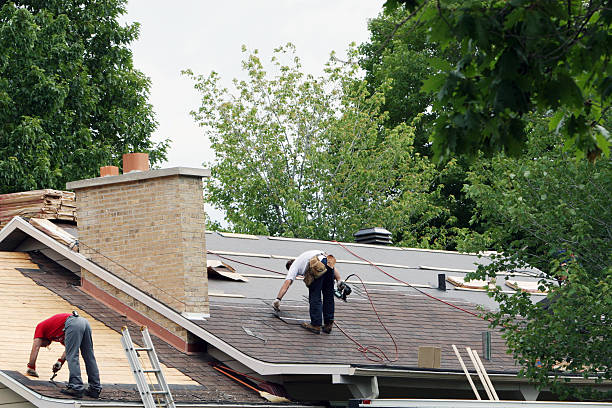 Best Roof Insulation Installation  in Osceola, IA
